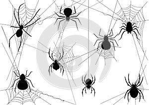 Set of black silhouette spider icon isolated. and spider web