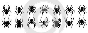 Set of black silhouette spider icon isolated on white background. Top,side and front view.