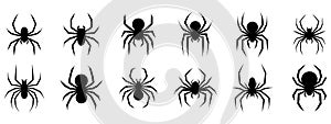 Set of black silhouette spider icon isolated on white background. Top,side and front view.
