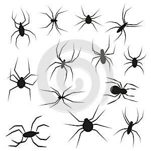 Set of black silhouette spider icon isolated on white background. Top view