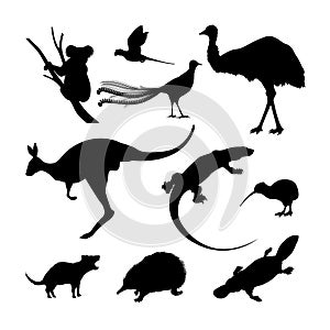 Set of black silhouettes of Australian animals. Kangaroo, koala and emu on a white background photo