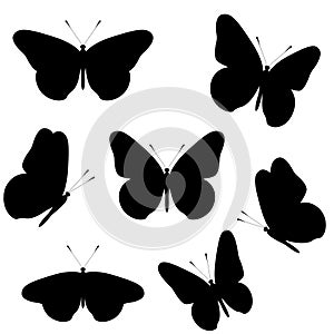 Set of black silhouettes of butterflies isolated on transparent background. Vector