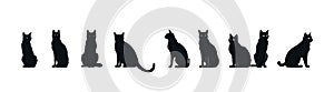 Set of black silhouettes of cats isolated on white background, vector illustration