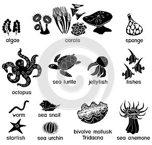 Set of black silhouettes of different underwater marine animals with titles