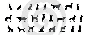 Set of black silhouettes dog isolated on white background, vector illustration