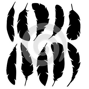 Set of black silhouettes of feathers isolated on a white background.