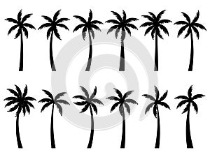 Set of black silhouettes of palm trees isolated on white background. Large collection of palm tree designs for posters