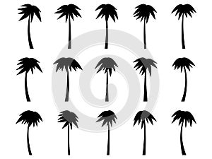 Set of black silhouettes of palm trees isolated on white background. Large collection of palm tree designs for posters