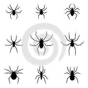 Set of black silhouettes of spiders isolated on white background. Halloween decorative elements. Vector illustration for any
