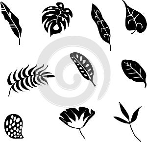 Set of black silhouettes of tropical leaves palm, trees, plants. Vector illustration.