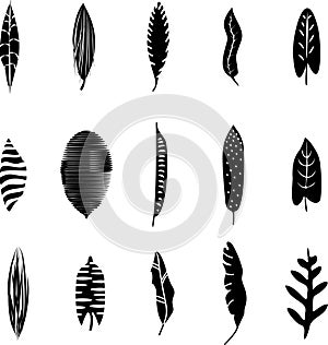 Set of black silhouettes of tropical leaves palm, trees, plants. Vector illustration.
