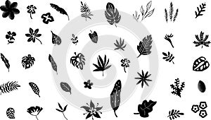 Set of black silhouettes of tropical leaves palm, trees, plants. Vector illustration.