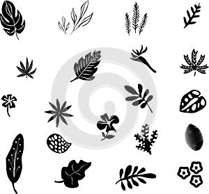 Set of black silhouettes of tropical leaves palm, trees, plants. Vector illustration.