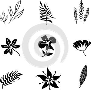 Set of black silhouettes of tropical leaves palm, trees, plants. Vector illustration.