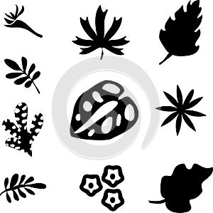 Set of black silhouettes of tropical leaves palm, trees, plants. Vector illustration.