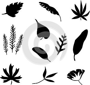 Set of black silhouettes of tropical leaves palm, trees, plants. Vector illustration.