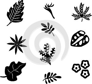 Set of black silhouettes of tropical leaves palm, trees, plants. Vector illustration.