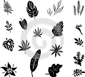 Set of black silhouettes of tropical leaves palm, trees, plants. Vector illustration.