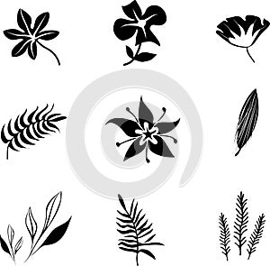 Set of black silhouettes of tropical leaves palm, trees, plants. Vector illustration.