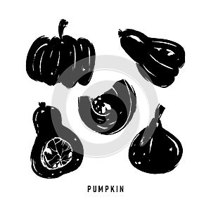 Set of black simple silhouettes of pumpkins. Dry brush texture effect