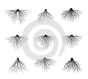 Set of Black Tree Roots. Vector Illustration