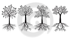 Set of black Trees with Leaves and Roots. Vector outline Illustration