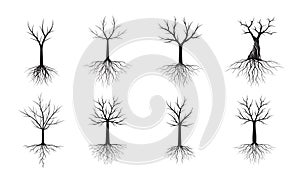 Set black Trees with Roots. Vector outline Illustration. Plant in Garden