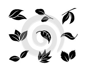 Set of black vector leaf icons on white background