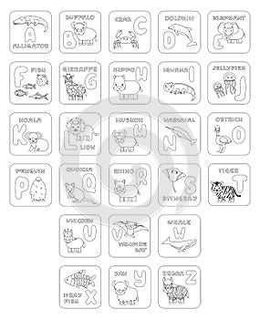 Set of black white ABC cards with pictures. Vector outline Illustration for children school textbook. Alligator buffalo