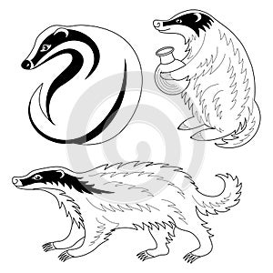 Set of black and white badgers. Heraldry and coloring books and pages. Hand drawn  vector illustration