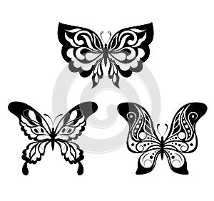 Set black white butterflies of a tattoo