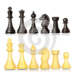 Set of black and white chess pieces