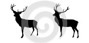 Set black and white deer with horns isolated on background. Vector Illustration.