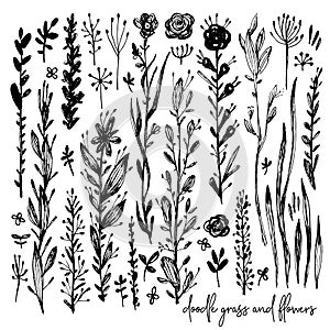 Set of black and white doodle elements, rose, grass, bushes, leaves, flowers. Vector illustration, Great design element