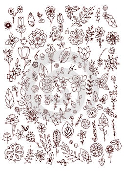 Set of black white doodle flowers leaves. Hand drawn design elements. Brown & white. Vintage.