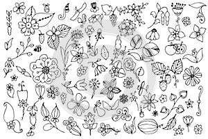 Set of black and white doodle flowers leaves. Hand drawn vector design elements.