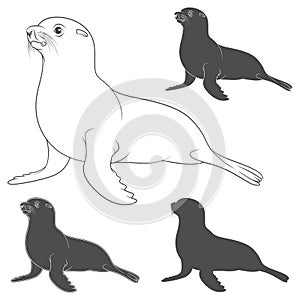 Set of black and white illustrations with a fur seal. Isolated vector objects.