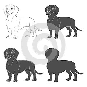 Set of black and white illustrations with the image of a dachshund dog. Isolated vector objects.