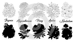 Set of black and white outline flowers - Begonia, Chrysanthemum, Azalea, Peony, Nasturtium