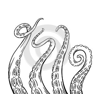 Set of black and white sketches octopus tentacles. Creepy limbs of marine inhabitants. Vector object