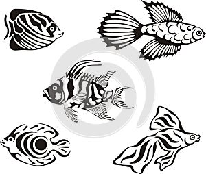 Set of black and white tropical fish