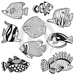 Set of black and white tropical fishes, exotic sea wildlife in vector. Coloring print