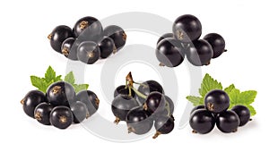 Set of blackcurrant isolated on white. Ripe and tasty black berry with copy space for text. Currants with leaves on a white