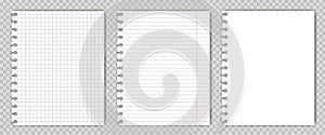 Set of blank copy book sheets with torn edges. Mockup or template of graph notepad pages for your text.