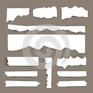 Set of blank Torn paper sheets. Vector note pieces collection with sticky tape.