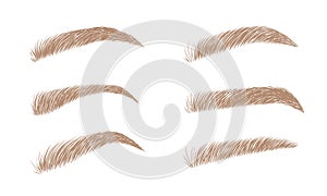 Set of blonde eyebrows in different shapes. Linear vector Illustration in trendy minimalist style. Brow bar logo photo