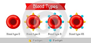 Set of blood cells types. Medical and healthcare infographic photo