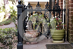A set of blooming potted plants on a small concrete front porch in Savannah Georgia with a black decorative ornate iron