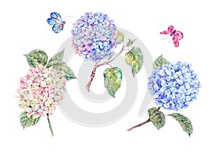 Set of blooming watercolor branch hydrangeas and butterflies