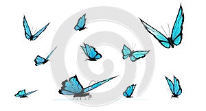 Set of blue butterflies on white background